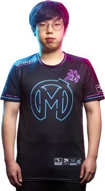 Sayaplayer